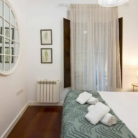 Eco Center Granatensis Catedral 2 Free Parking Apartment Granada